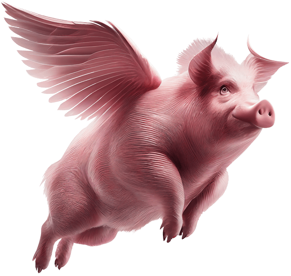 Pig with wings